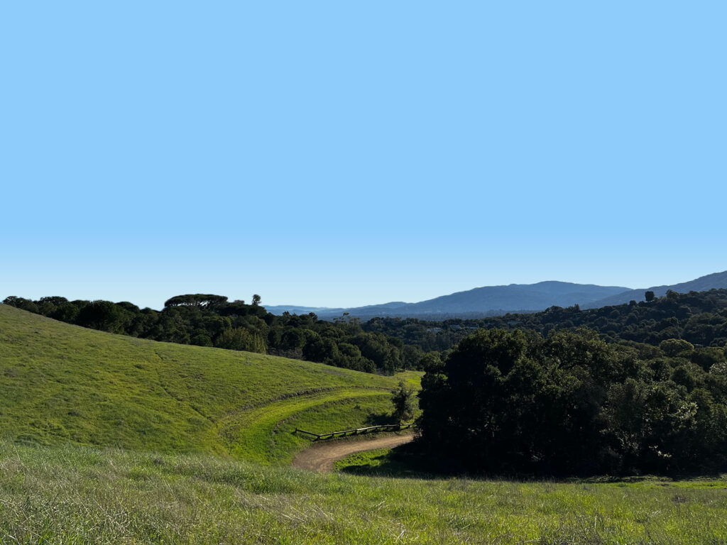 View from Fremont Older Open Space